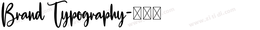 Brand Typography字体转换 Brand Typography字体转换